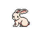 Rabbit 01