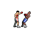 Boxers