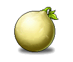 Gourd