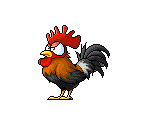 Rooster