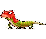 Red Lizard