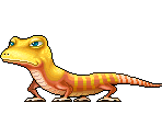 Yellow Lizard