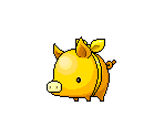 Golden Pig