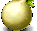 Giant Gourd