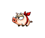 Ribbon Pig (Morph)