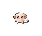 Baby White Monkey