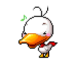 White Duck