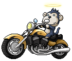 Biker Monkey