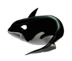 Orca (Feeding Frenzy)