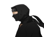 Tachibana Ninjas