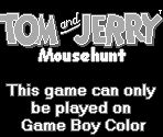 Game Boy Error Message