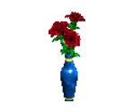 Queen Vivanco Roses