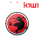 Ninja Kiwi Splash Screen