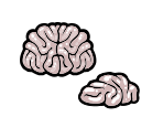 Brain / Membrain