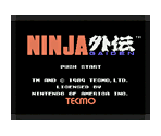 Ninja Gaiden (Manual)