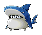 Shark