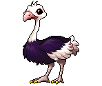 Ostrich