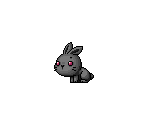 Black Bunny