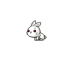 White Bunny