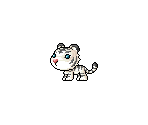 White Tiger