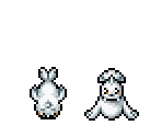 Seel & Dewgong