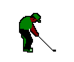 Golfer