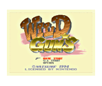 Wild Guns