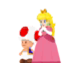 Toad & Peach (NSMBU)