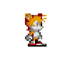 Tails (High-End, Small)