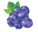 Grape