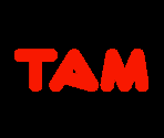 Tamsoft Logo