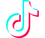 TikTok Icon