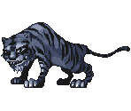 Black Tiger