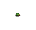 Turtle (Green)