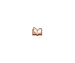 Book Animation