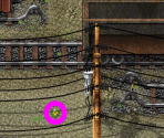 Trainyard Foraging Placement