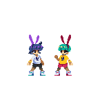 Bunny Girl Fans