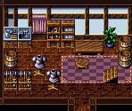 Parcelyte (Interior)