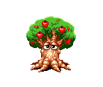 Apple Tree