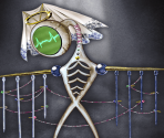The Electro-Cardiogram Witch [memoria_2016]