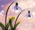 A Proof of Us Blooming in the Snow [memoria_1990]