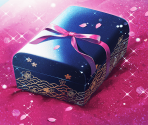 Secret Treasure Box [memoria_1528]