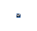 Memory Card Icon