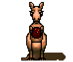 Kerry the Kangaroo
