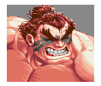 Continue Portraits (Super Street Fighter II Turbo)