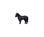 Black Horse
