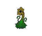 Monster Plant
