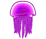 Giant Jellyfish