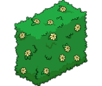 Flower Hedge