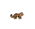 Tiger Cub